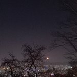 [<b>댓글</b>부탁해] 이거 <b>달</b> 맞아?