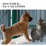 고저 나는 <b>동무</b>에게 일 없습네다