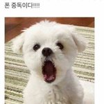 [TXT] 이거 ㄹㅇ 최밤이랑 <b>존</b>똑임