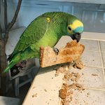 [TXT] 왁 와 <b>토토</b>근황