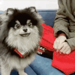 [방탄소년단] 이 <b>당시</b>엔 별 생각 없이 아 기여어 그랬는데