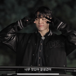[세븐틴] 캐럿분들 도와주세요...