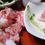 [이것좀봐줘] <b>참치</b>회 잘 아시는 분들 제발 도와주세요!!!