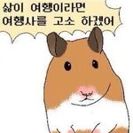 [댓글부탁해] 장원영 <b>아이즈</b>원 끝나고도 ㅈㄴ잘될까?