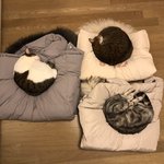 [드루와] 활반인이 ㄹㅇ 현재 다음이엇어?????