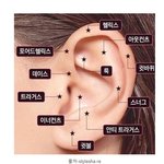 [드루와] 피어싱 꿀팁