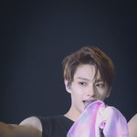 연예인들은