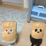 [댓글부탁해] 얘들아 첫 알바비로 가족들 선물