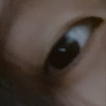 [댓글부탁해] <b>이</b>정도면 <b>눈</b> 트여있는편이야???