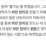 [<b>빅톤</b>] 웜메..파란장미,파란나비 뜻 대박ㅇ넹