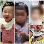<b>정인</b>이 이 애기잖아 ,,