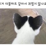 [드루와] 하ㅋㅋ 친구련 진짜 좄나 맘에 안 드네