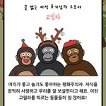 [댓글부탁해] 사주 잘 보는애 있냐