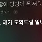 [ㅈㄱㄴ] <b>시리</b>년 왜 귀엽다하면 자꾸 나오냐