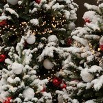 영어 잘하는 사람 ㅠㅠ