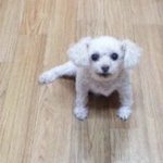 먹으면 <b>포만감</b> 느껴지는거 뭐 없냐..