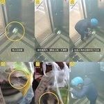 [이것좀봐줘] 고객 요구 불만에…배달음식에 침 뱉은 배달원