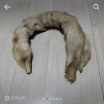 아ㅅㅂ 찐<b>인가</b>?