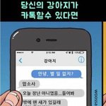 [NCT즌] 오늘 정우 버블 <b>요약</b>