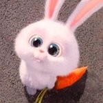 [댓글부탁해] 울 동생 내신 4점대 중<b>후반</b>
