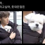 [모두드루와] 너네 <b>모리</b> 알아? 종나귀여움 보고가