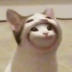 [모두드루와] 십대에 <b>엔터글</b> 쓰는 이유가 뭐임