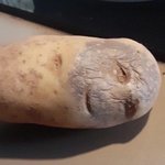 독서실에서 슬라임 만져두됨??