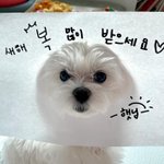 웬디 셀카 진짜 예쁨...