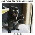 [댓글부탁해] 이거 <b>진짜</b> ㅈㄴ웃<b>김</b>ㅋㅋㅠㅠㅠㅠㅋㅋㅋㅋ