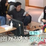 티파니가 강아지 사진을 열심히 찍은 이유