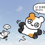 알바 <b>베라</b>vs나뚜루