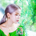 <b>호흡</b>곤란 오게 하는 '고지대' 女돌