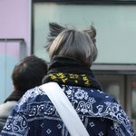 [댓글부탁해] 다이소에서 <b>카카오</b>미니카드 씅수잇어??