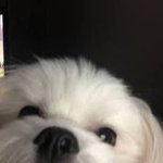 [트레저] 이거 <b>박지훈</b>