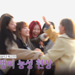 [댓글부탁해] 이짤 김채원 장원영 약간 <b>Mt</b>느낌