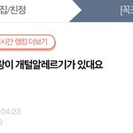 [댓글부탁해] [원본지킴이]  예랑이 개털알레르기가 있대요