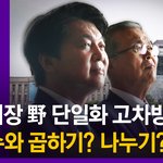 서울시장 <b>안철수</b>?