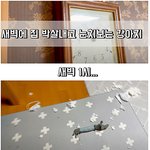 [강아지] 새벽 1시에 <b>집안</b> 개판쳐놓고 눈치보는 강아지.