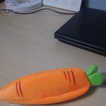 [댓글부탁해] 내 당근 <b>필통</b> 어때