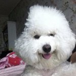 [드루와] 네이트판에는 1점대만 <b>사나</b>~?