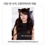 [드루와] 나 수지 못나온 사진 <b>닮음</b>..