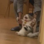 [모두드루와] 너희는 엄마한테 들어본 말중에 가장 <b>상처</b> 받았던 말이...