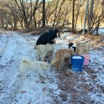 [강아지] <b>청하</b>를 만나러 오신 손님