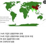 <b>지식</b>적인 짤 풀고가자