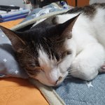 애들아 너네 <b>코딩</b> 배우니?