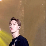 <b>셔누</b> 왜 잘생김