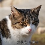 [방탄소년단] 나 또 빠꾸 먹었어