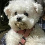 [댓글부탁해] 서울 <b>독서실</b> 열어??