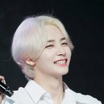 세븐틴은 정한이랑 <b>민규</b>가 인기많을 상 아니냐