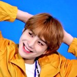 [NCT] 아 김정우 너 <b>팔</b> 원래 이렇게 들었잖아~~~